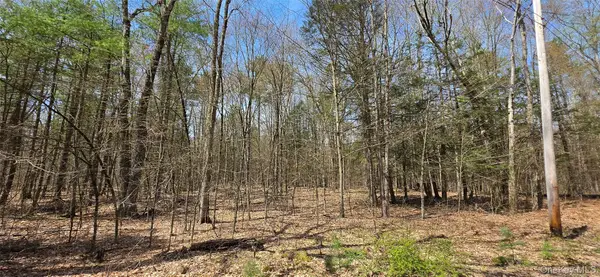 Lot 13 Tyler Road, Cochecton, NY 12726