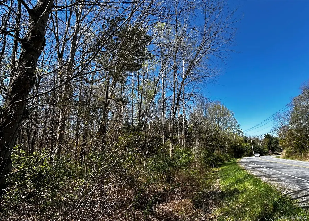 Bullshead Road, Clinton Corners, NY 12514 - #1