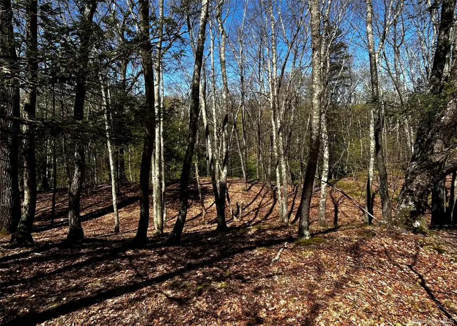 Bullshead Road, Clinton Corners, NY 12514 - #2