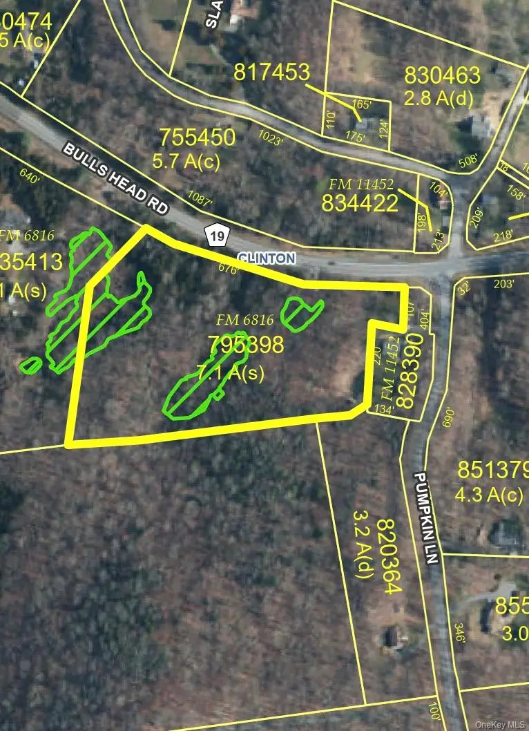 Bullshead Road, Clinton Corners, NY 12514 - #3