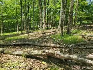TBD Piney Lane, Cragsmoor, NY 12420 - #3
