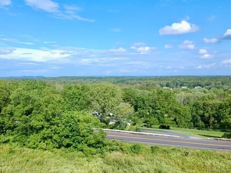 Lot #4 Mountain Road, Port Jervis, NY 12771 - #2