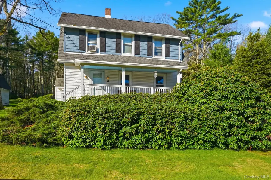 114 Proctor Road, Eldred, NY 12732 - #3