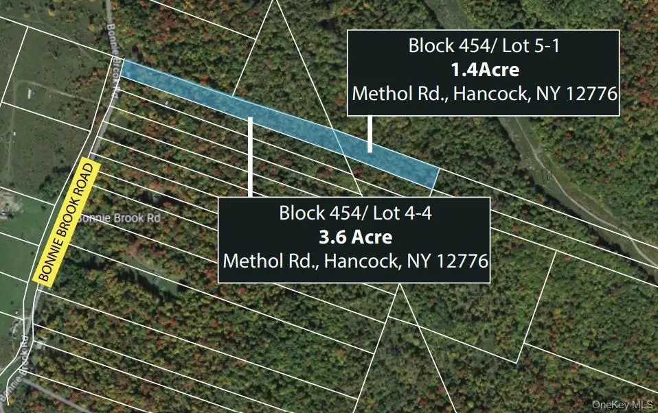 Methol Road, Roscoe, NY 12776 - #1
