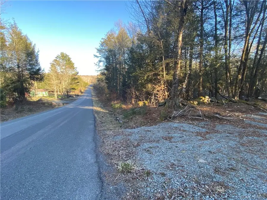 Friedman Road, Harris, NY 12742 - #3