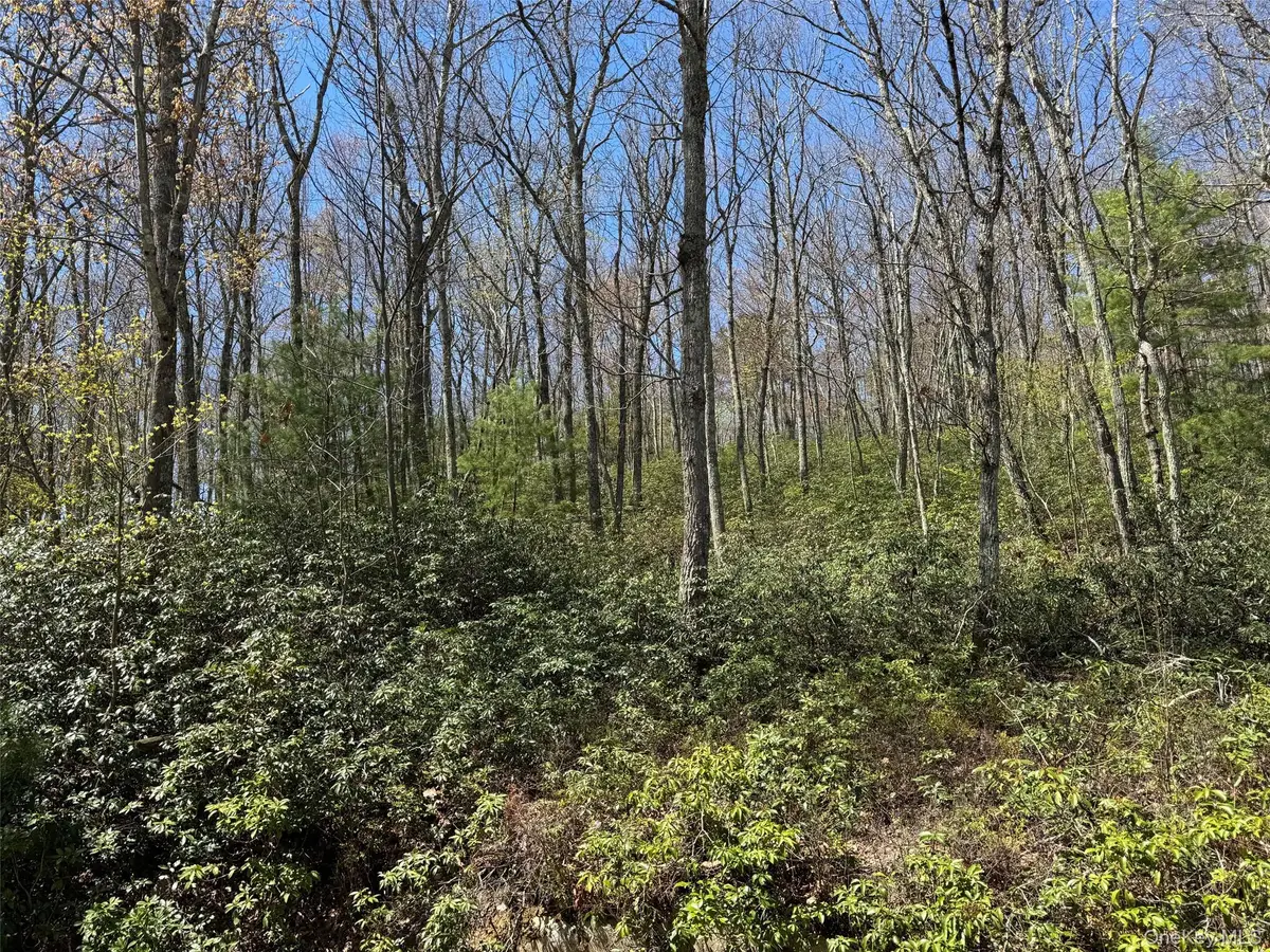 N Orange Street, Port Jervis, NY 12771 - #1