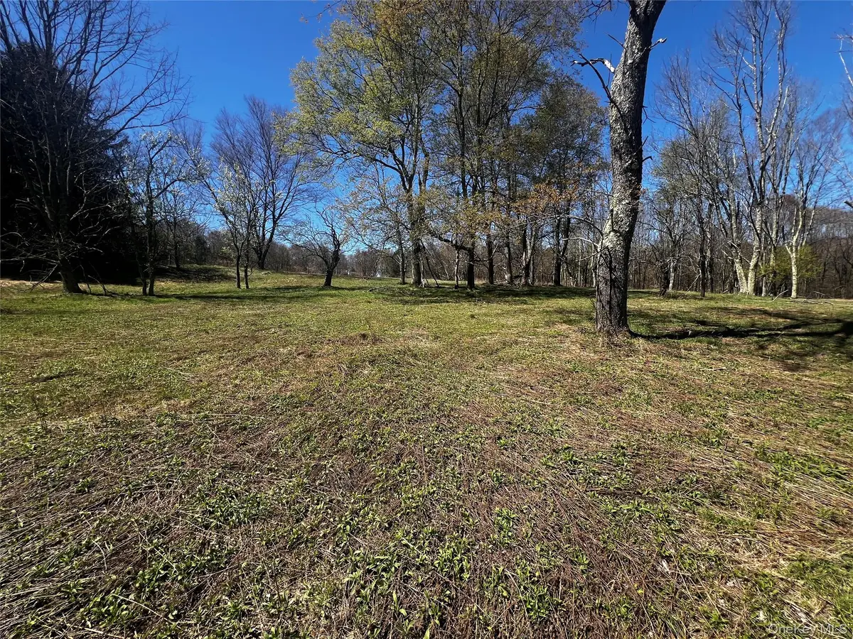 93 Cal Stewart Road, Bethel, NY 12720 - #1