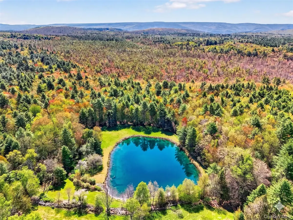 70 Spook Hole Road, Ellenville, NY 12428 - #1