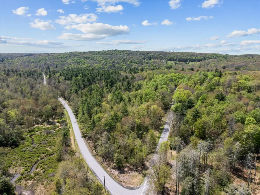 Church Rd & Taylor Road, Fallsburg, NY 12733 - #2