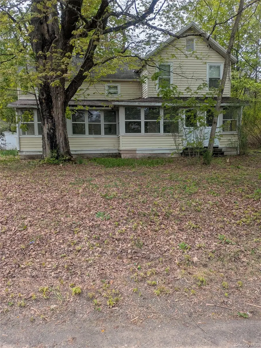 13 Mount Pleasant Road, Mount Tremper, NY 12457 - #2