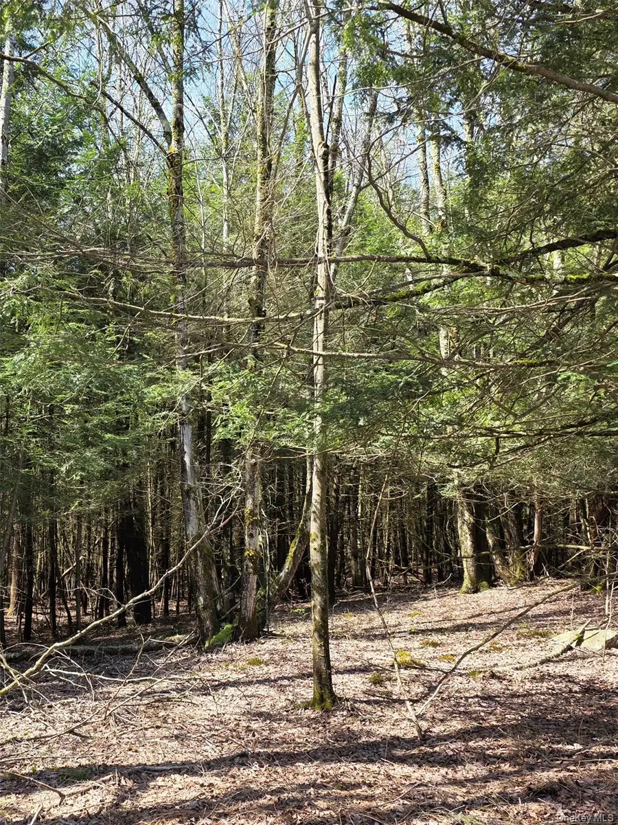 Highview Acres, Parksville, NY 12768 - #3