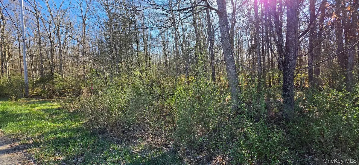 Lot 70 Cushetunk Drive, Cochecton, NY 12726 - #1