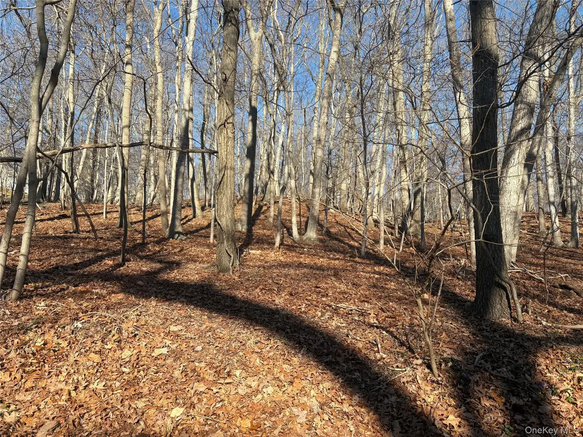 Woodhull Landing, Miller Place, NY 11764 - #1