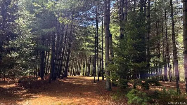 Lot 12 White Road, Glen Spey, NY 12737 - #1