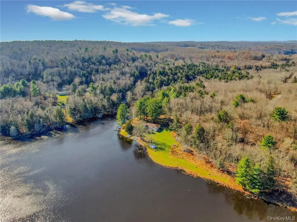 122 Jaketown Road, Swan Lake, NY 12783 - #1