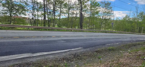 Rt-42, Fallsburg, NY 12733