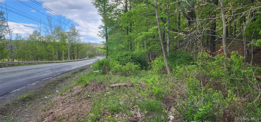 Rt-42, Fallsburg, NY 12733 - #3