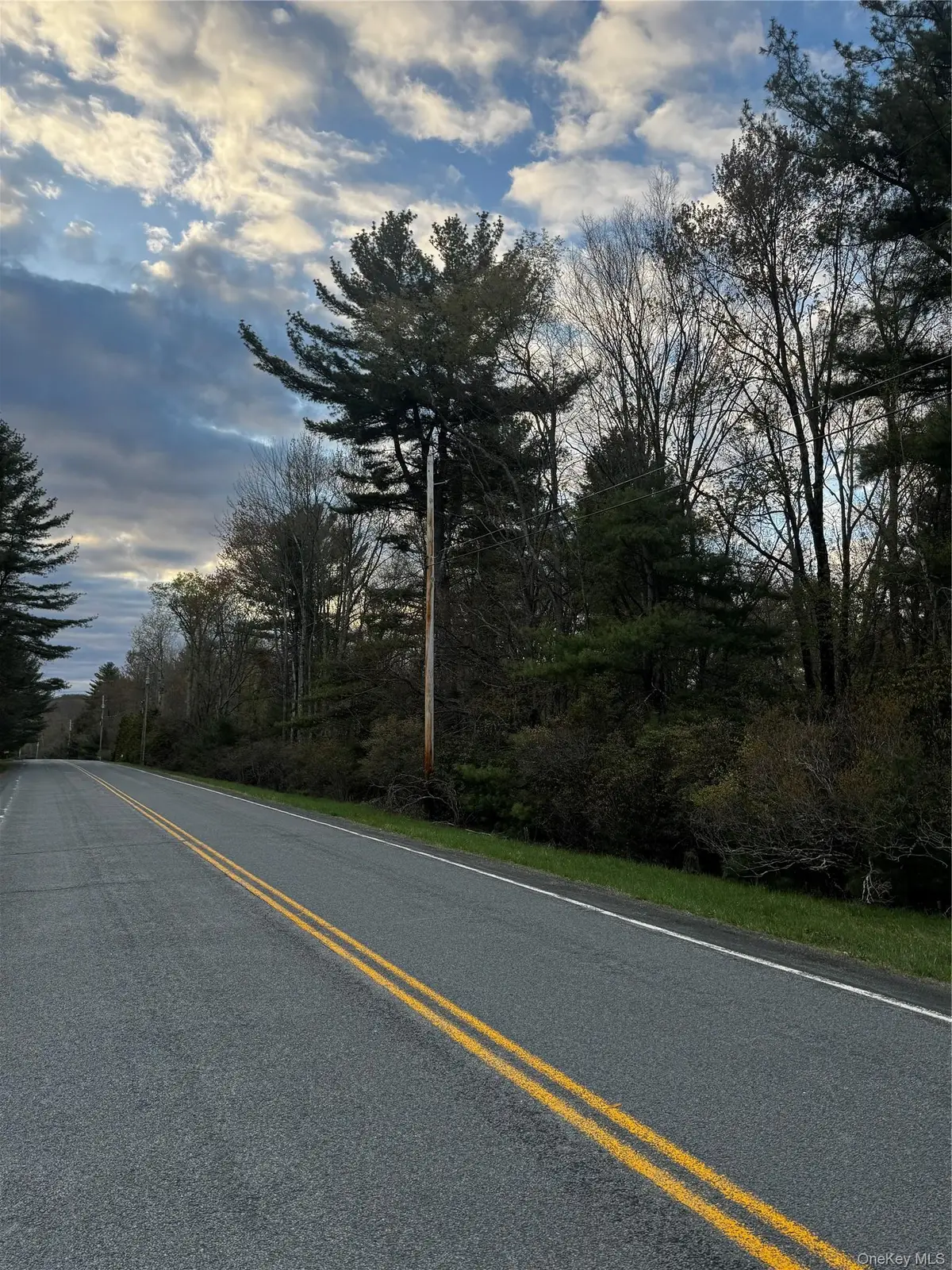 TBD 000 Ulster Heights Road, Fallsburg, NY 12733 - #1
