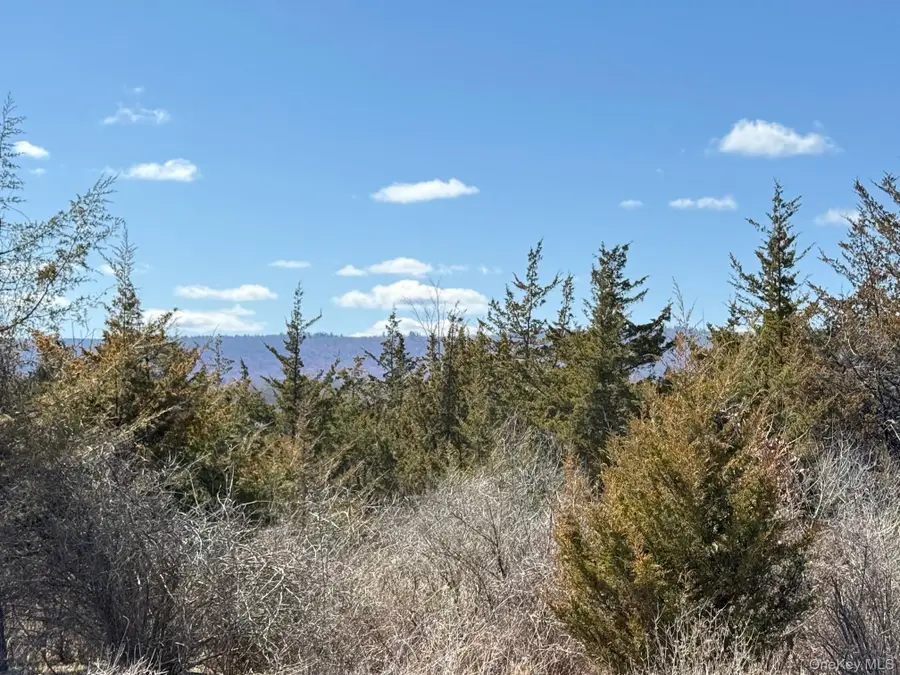 #2 Lot #2 Westerly Ridge Drive, Amenia, NY 12501 - #3