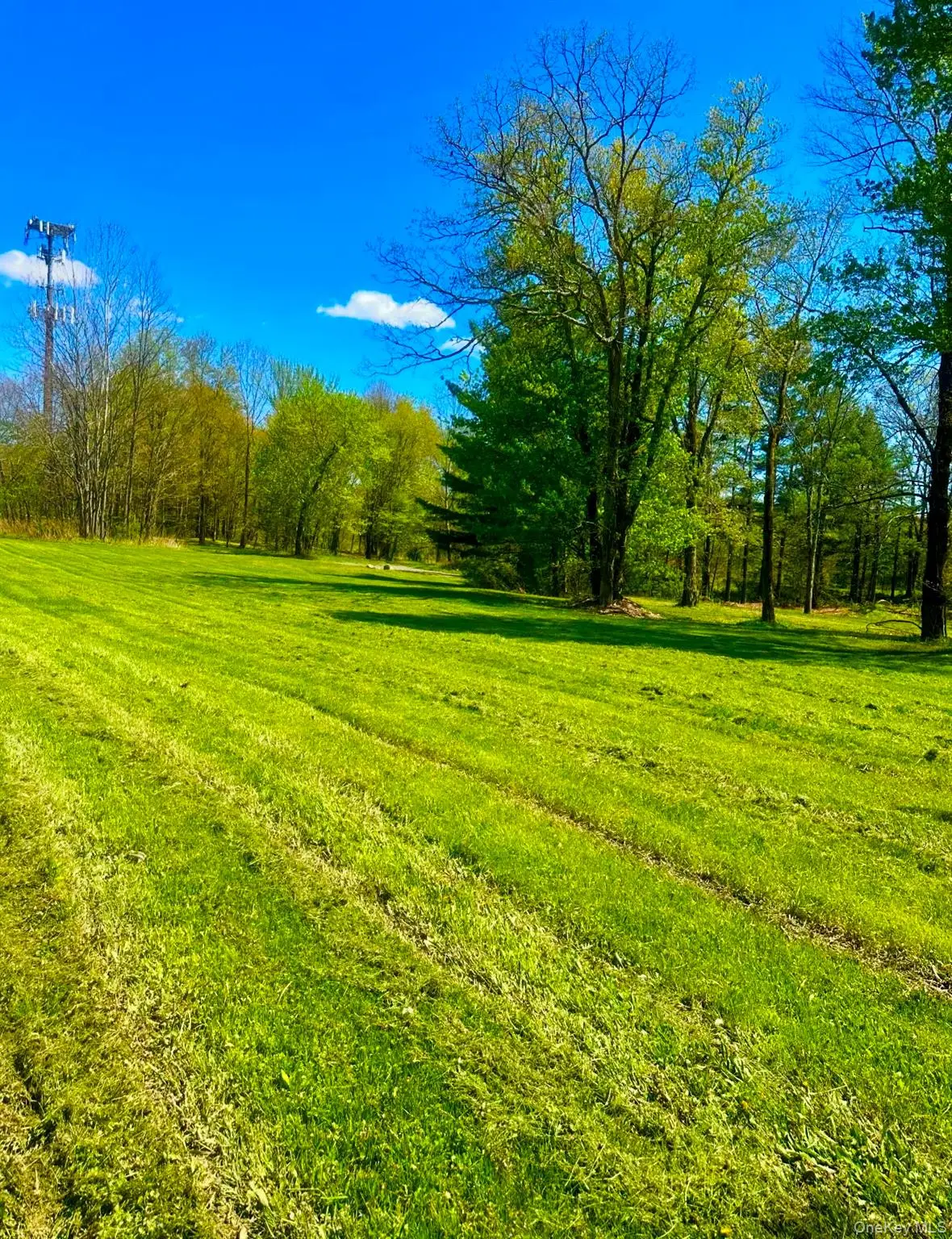 TBD LOT#3 Quaker Street, Wallkill, NY 12589 - #1