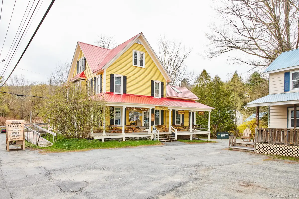104-108 Main Street, Livingston Manor, NY 12758 - #1