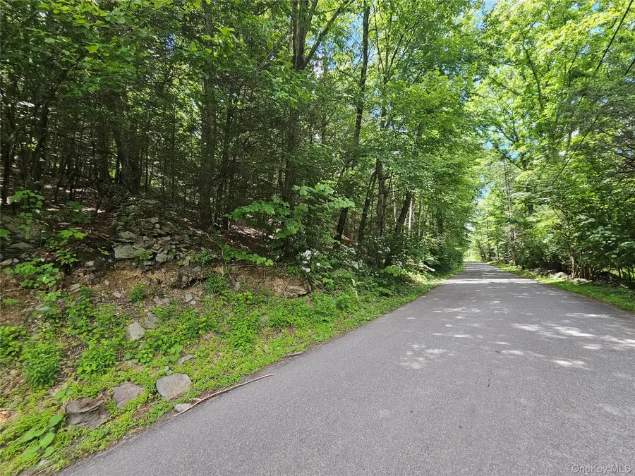 Trails End Road, Kerhonkson, NY 12446 - #3