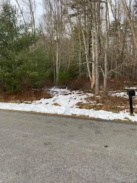 Lot 114 Old Congress Road, Monticello, NY 12701 - #1