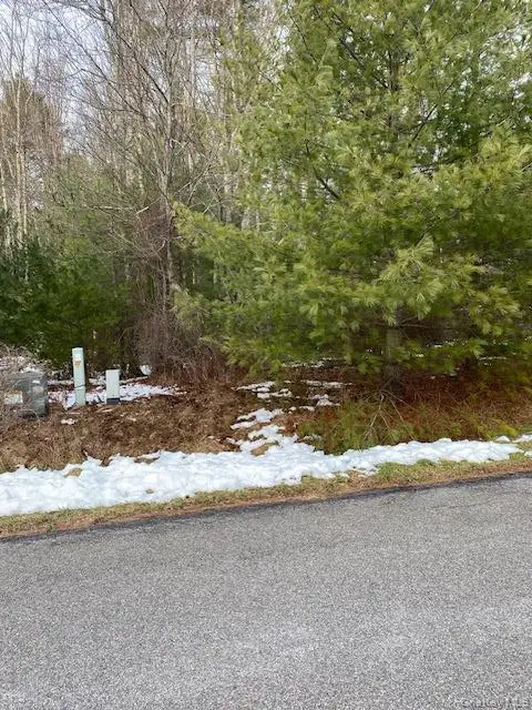 Lot 114 Old Congress Road, Monticello, NY 12701 - #3