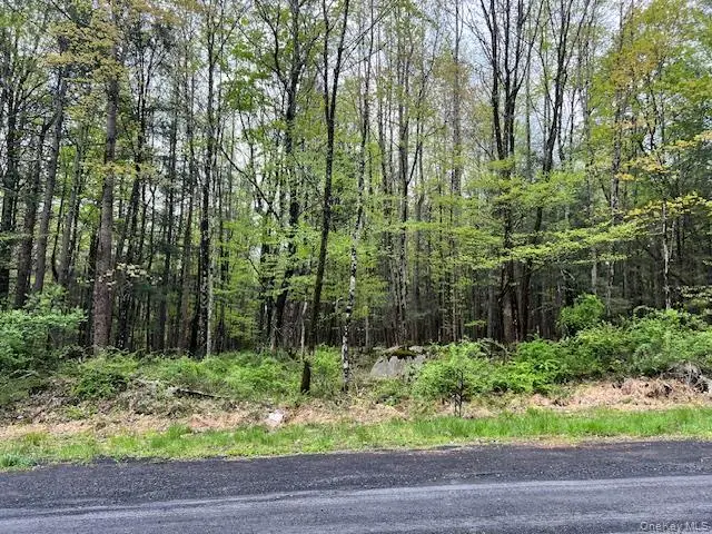 801 Oakwood Circle, Kingston, NY 12401 - #2