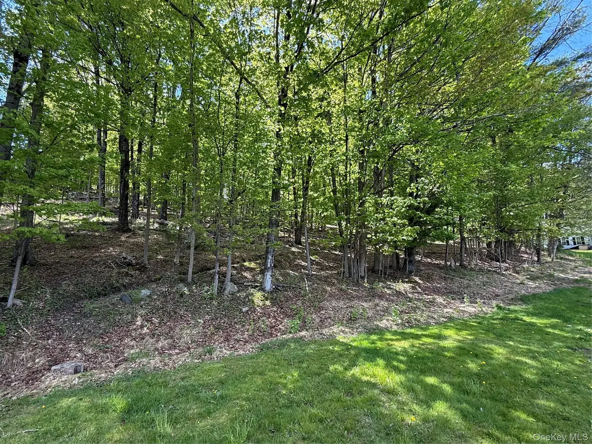 Westwood Avenue, Ellenville, NY 12428 - #1