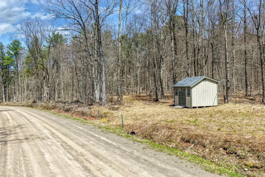 Frank Slawson Road, Davenport, NY 13820 - #2