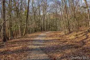Tbd Cragsmoor/vista Maria, Cragsmoor, NY 12420 - #3