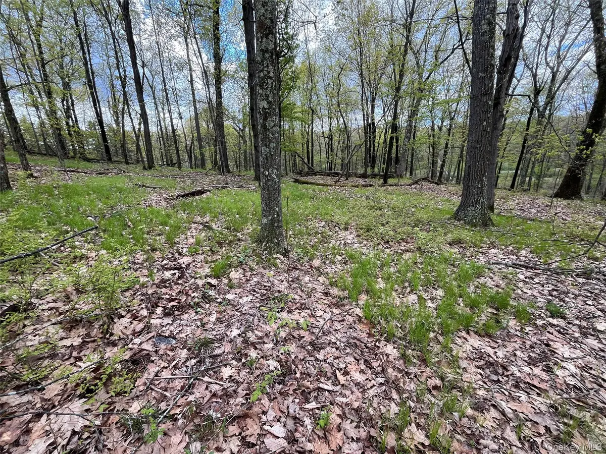 Cold Spring Road, Clinton Corners, NY 12514 - #1
