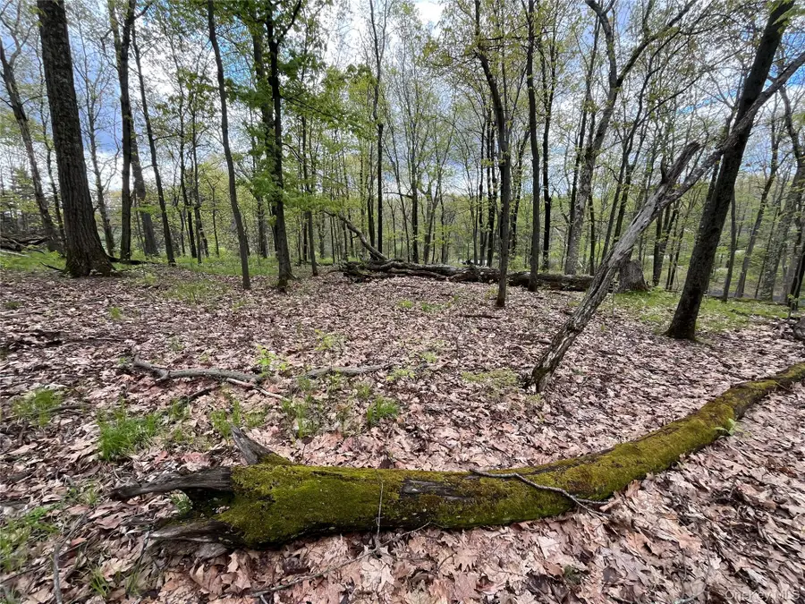 Cold Spring Road, Clinton Corners, NY 12514 - #2