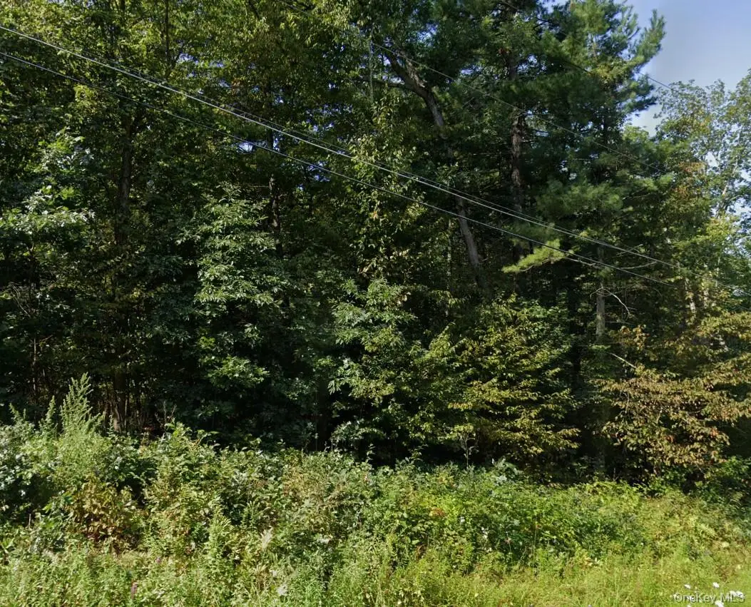 129 Academy Street, Kerhonkson, NY 12446 - #1