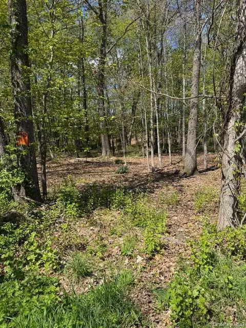 Four Corners Road, Warwick, NY 10990 - #1