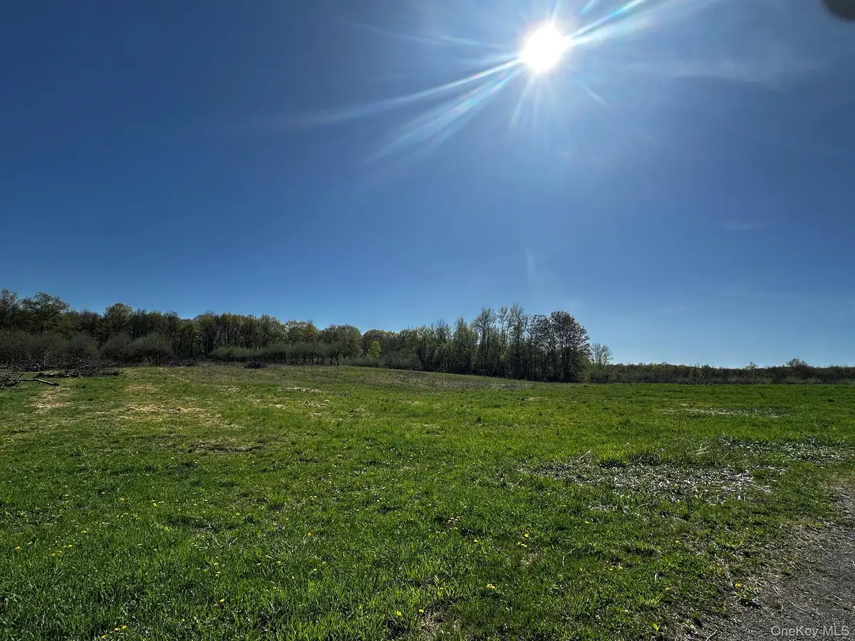 Route 32 S, Modena, NY 12548 - #1