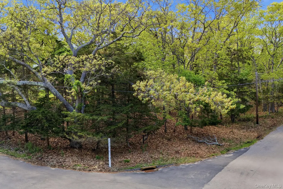 27 Three Mile Harbor Drive, East Hampton, NY 11937 - #1