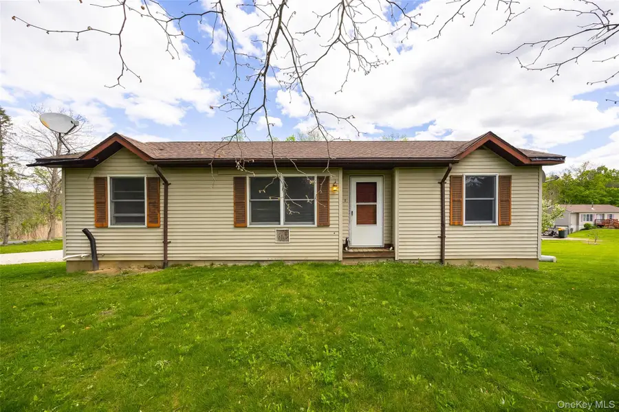175 Nevis Road, Tivoli, NY 12583 - #2