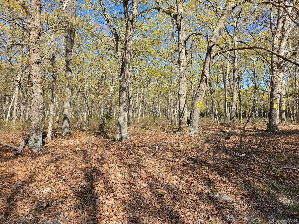 1796 Majors Path, Southampton, NY 11968 - #1