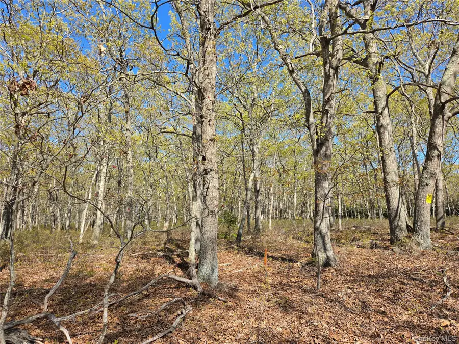 1796 Majors Path, Southampton, NY 11968 - #3