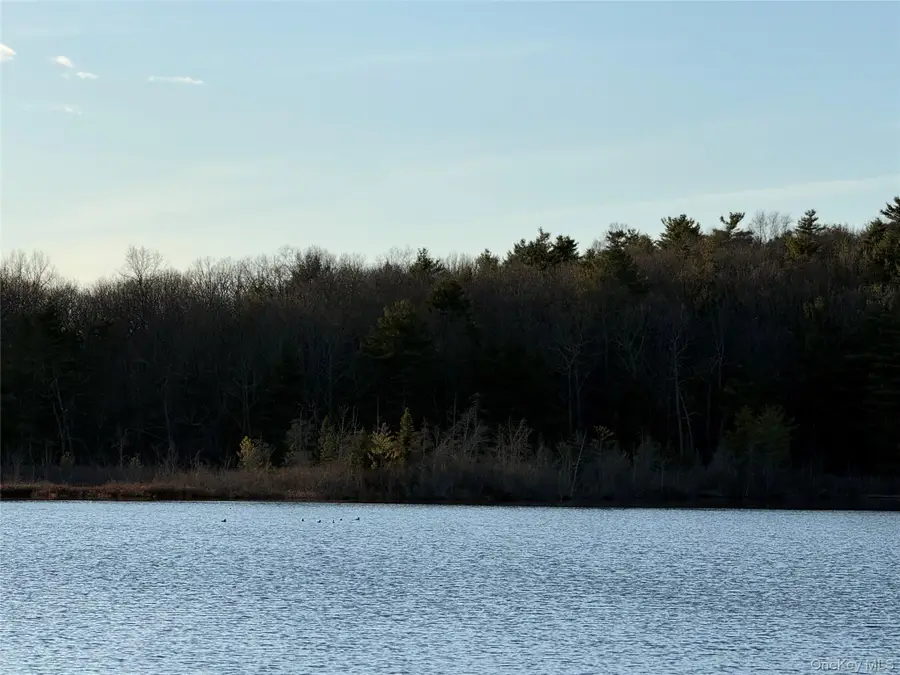 Browning Boulevard, Barryville, NY 12719 - #3