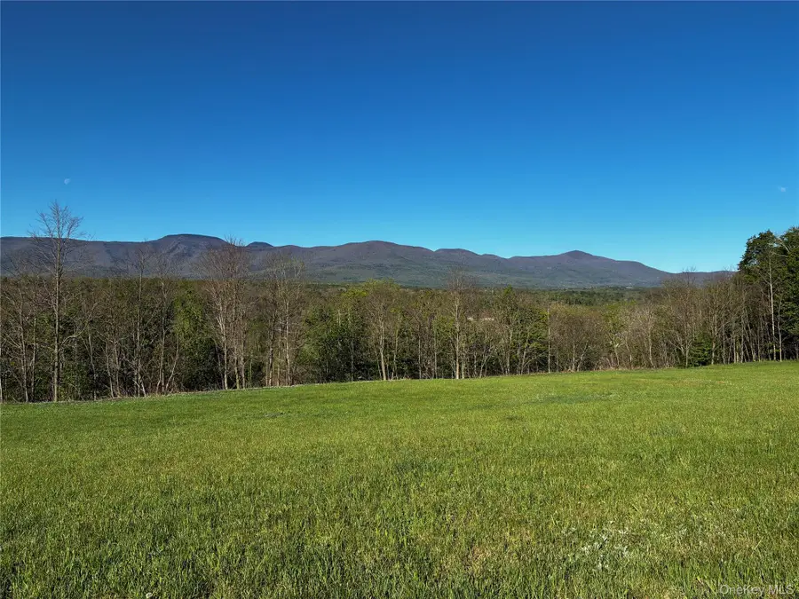 8207 Route 32, Cairo, NY 12413 - #3