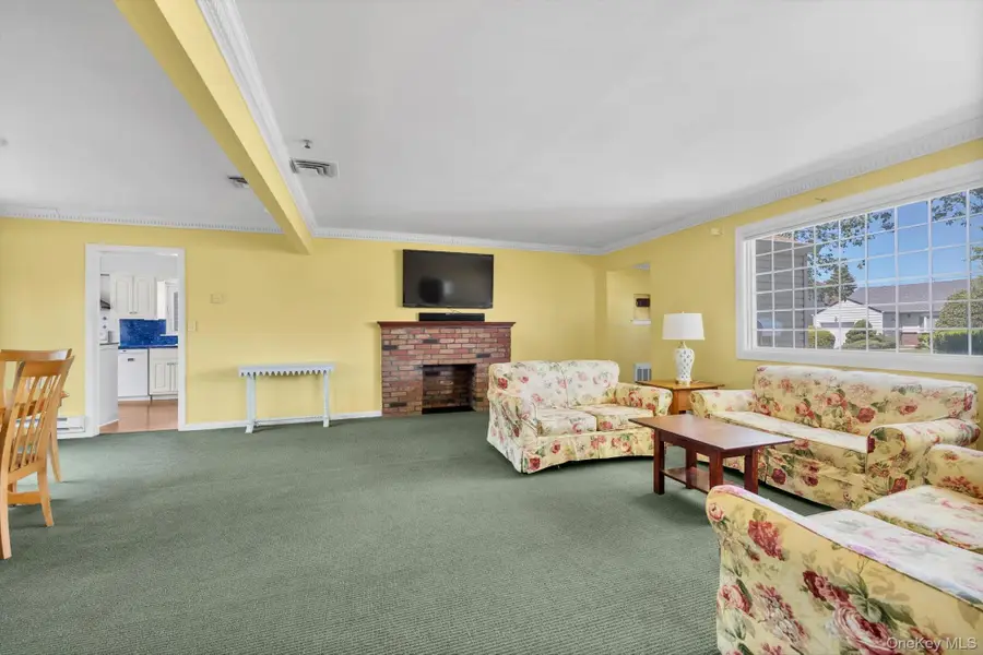 114 Campbell Street, New Hyde Park, NY 11040 - #3