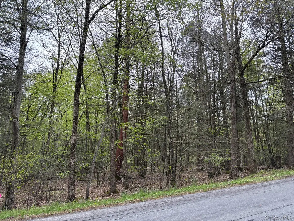 Braden Road, Mountain Dale, NY 12763 - #1