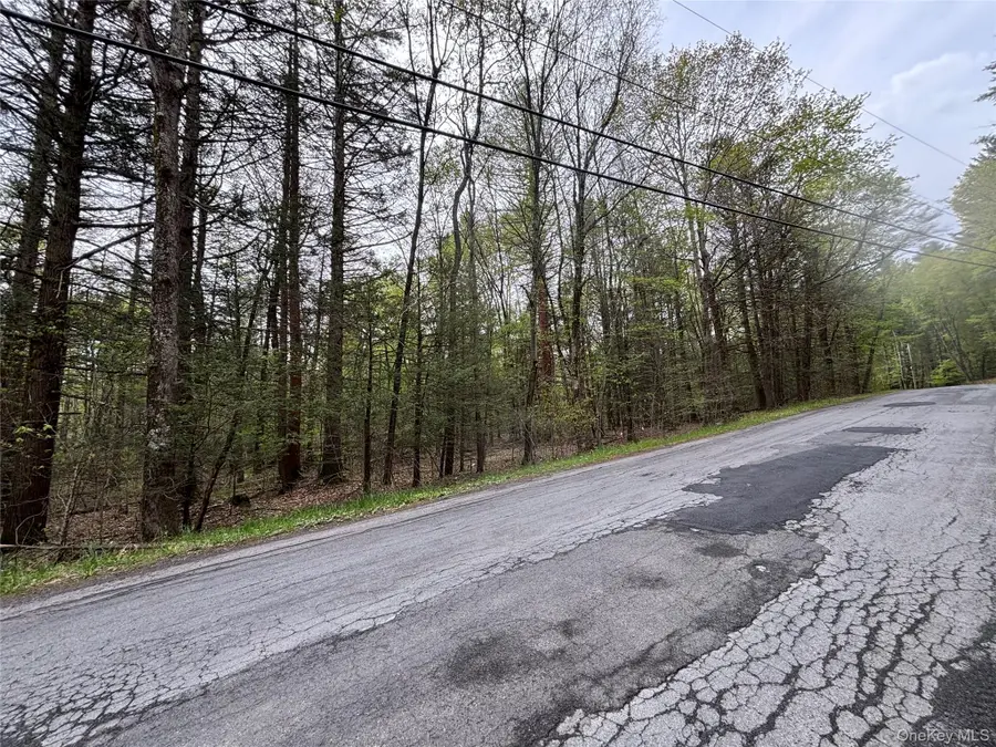 Braden Road, Mountain Dale, NY 12763 - #2
