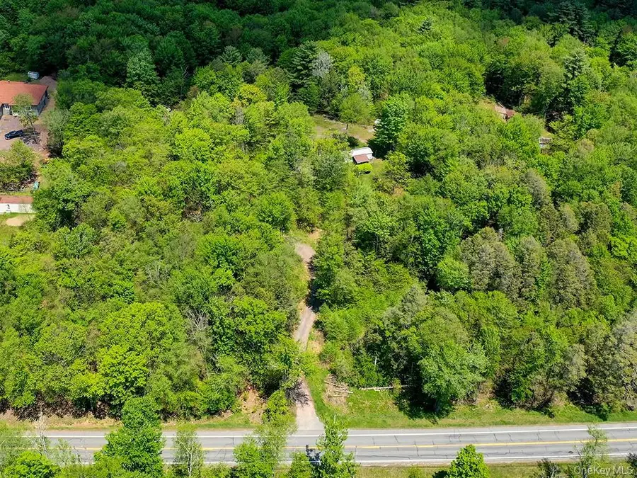 7173 State Route 42, Grahamsville, NY 12740 - #2