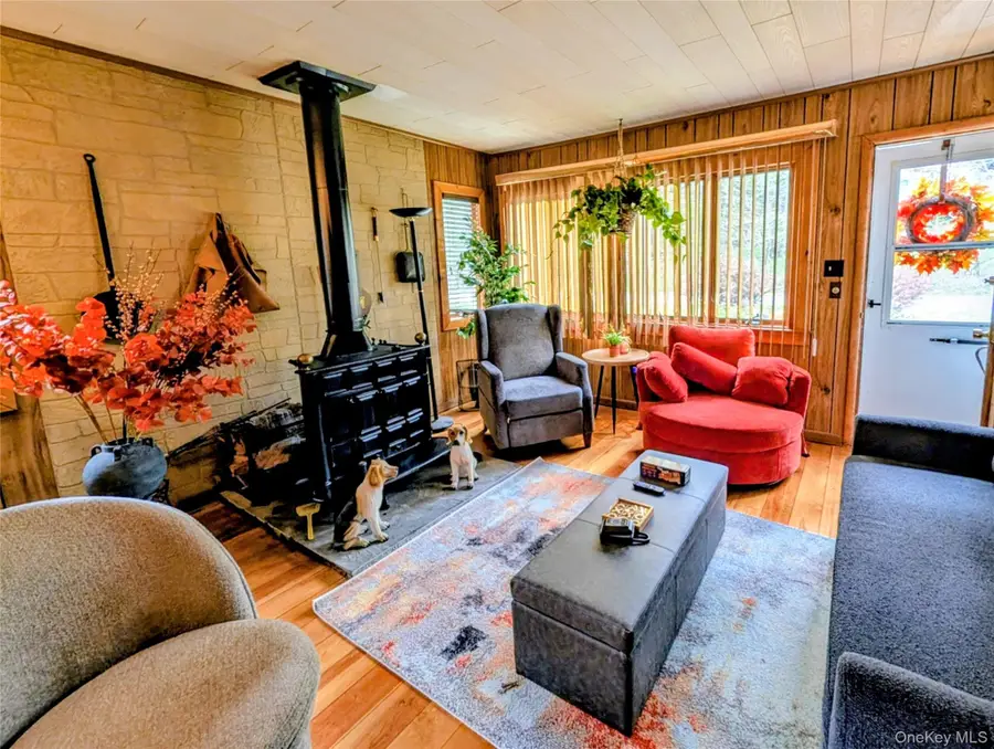 582 Lake Shore Lane, Narrowsburg, NY 12764 - #3
