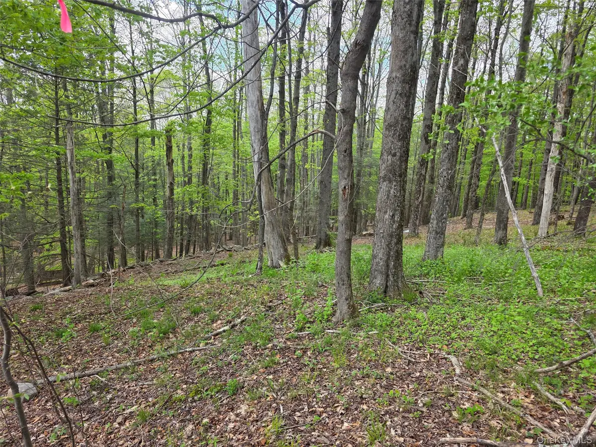 Wade Road, Fallsburg, NY 12733 - #1