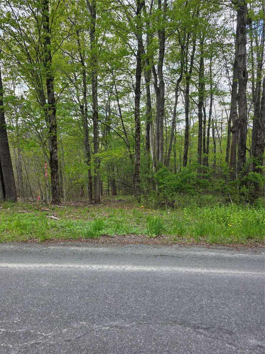 Wade Road, Fallsburg, NY 12733 - #3